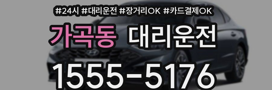 가곡동 대리운전