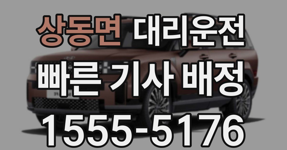 일일대리기사