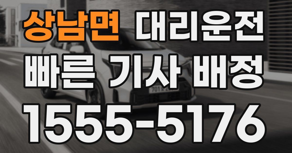 일일대리기사