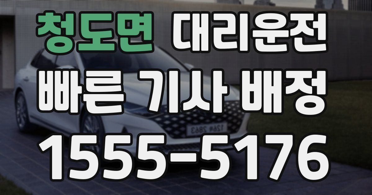 일일대리기사