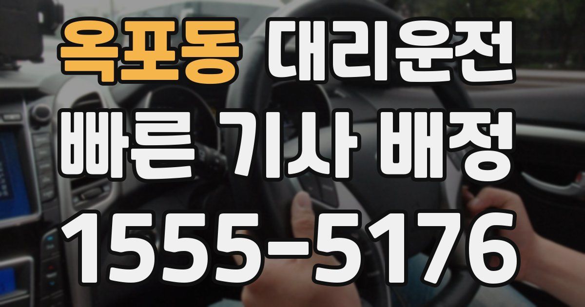 일일대리기사
