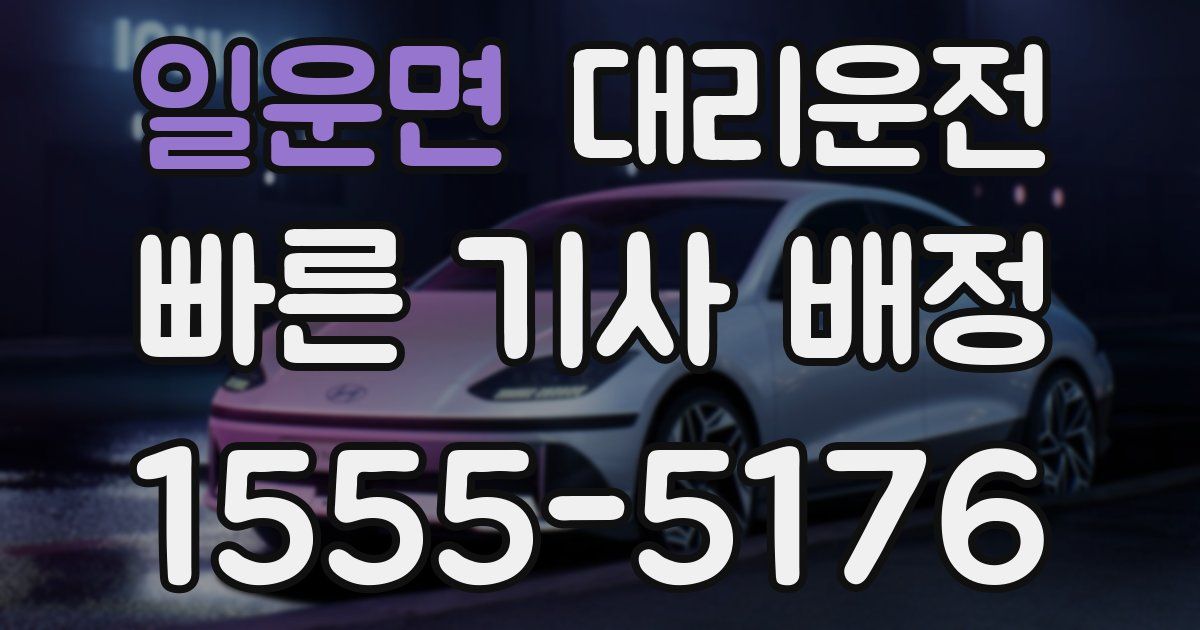 일일대리기사