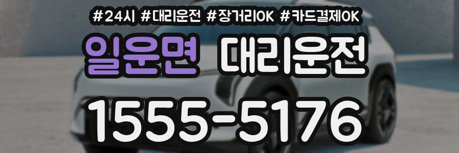 일운면 대리운전