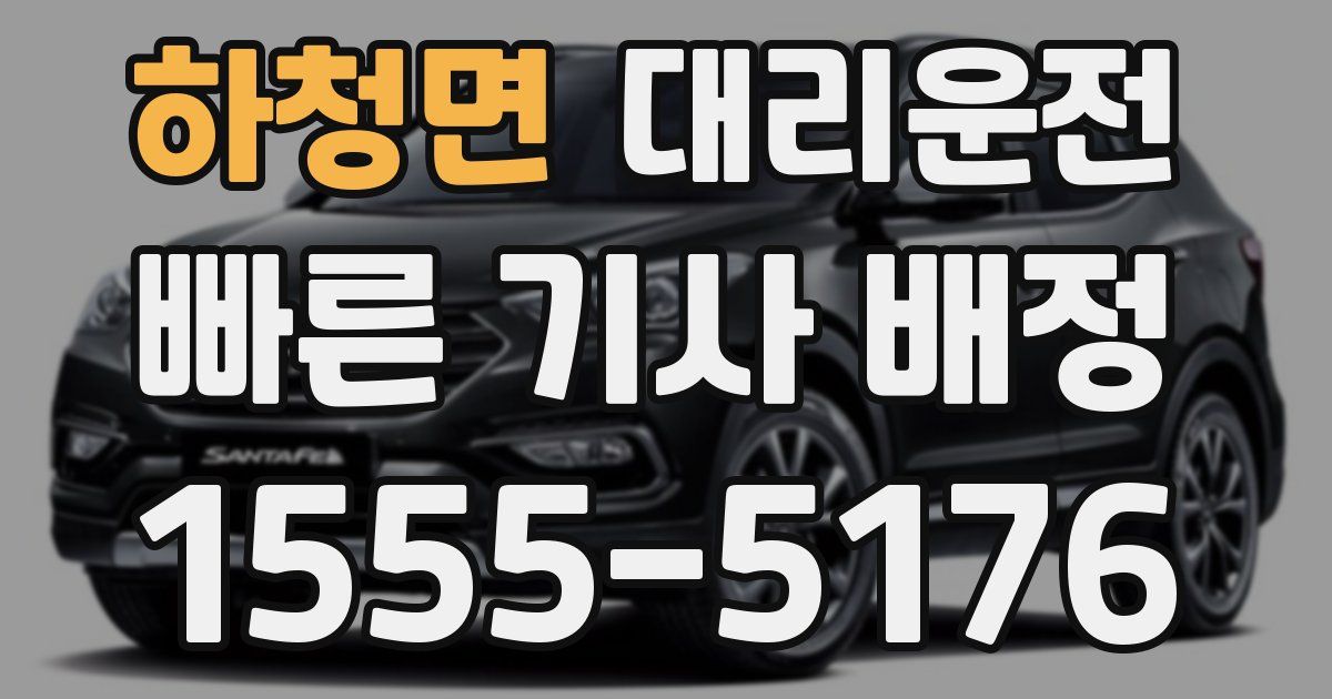 일일대리기사