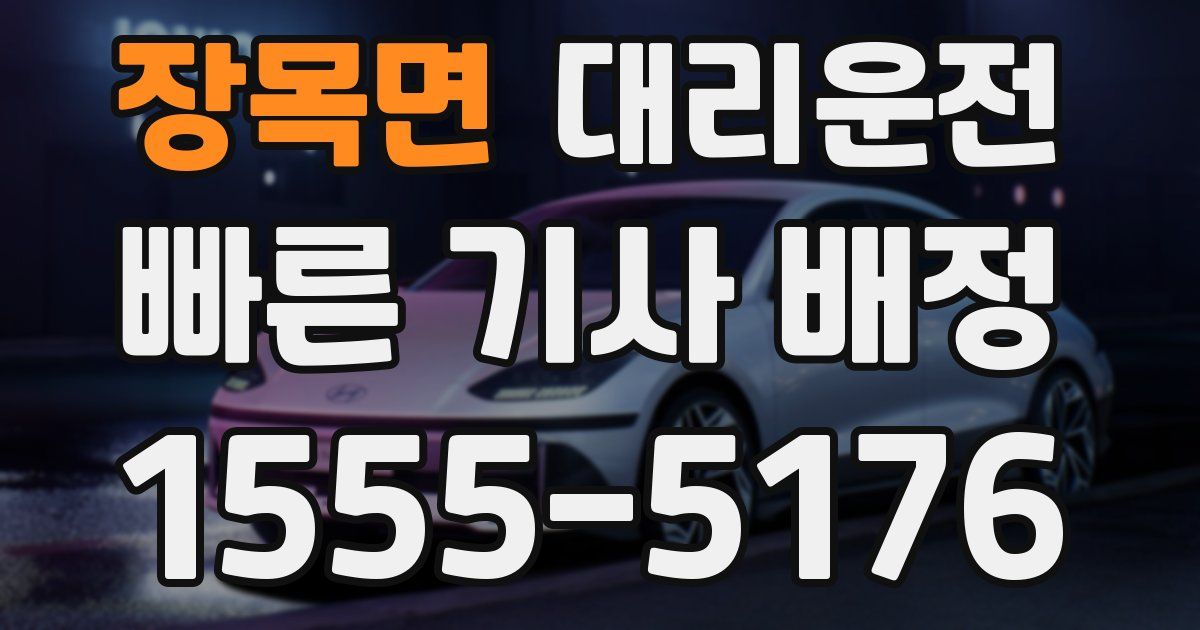 일일대리기사