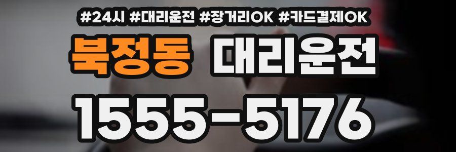 북정동 대리운전