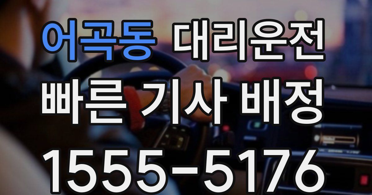 일일대리기사