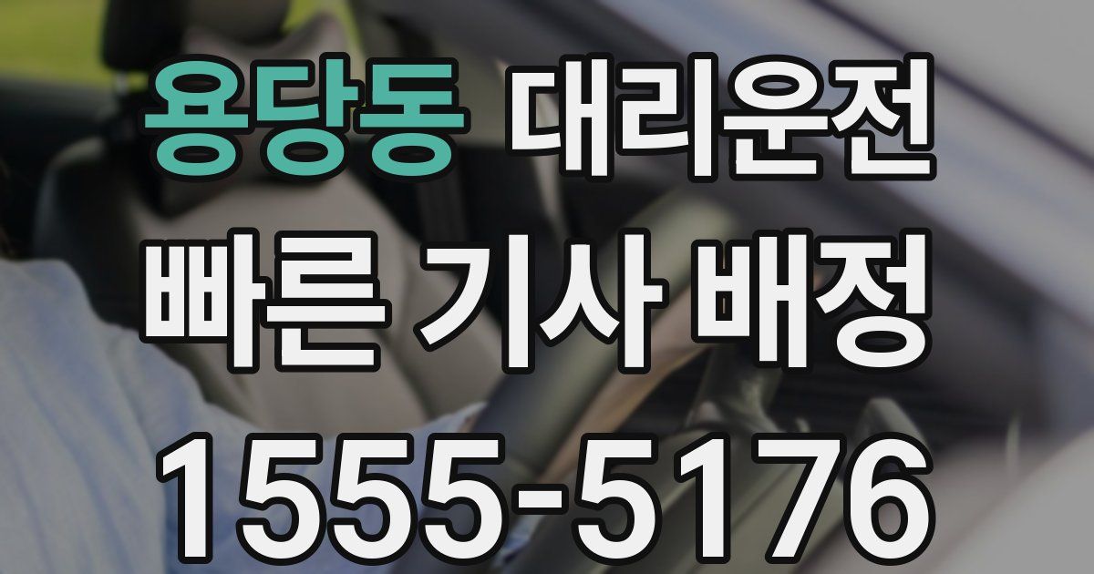 일일대리기사
