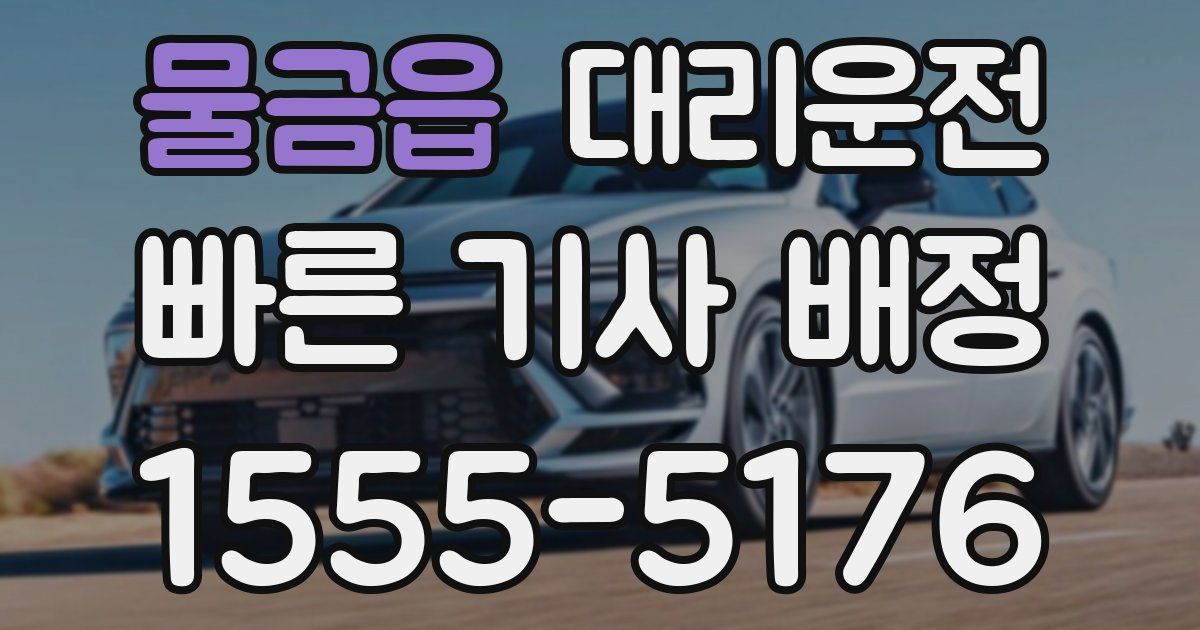 일일대리기사