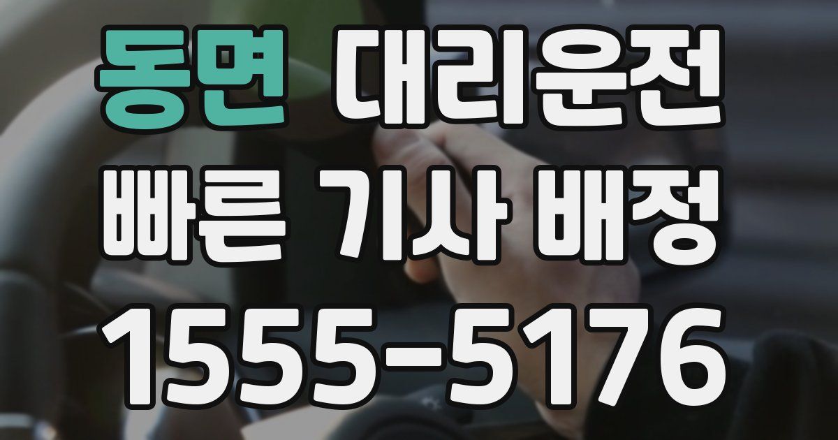 일일대리기사