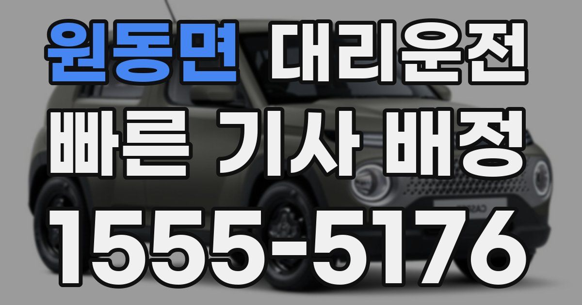 일일대리기사