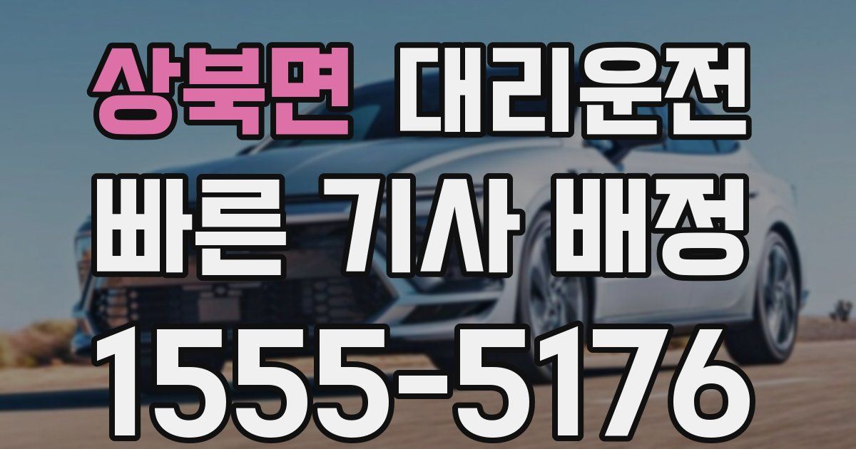 일일대리기사