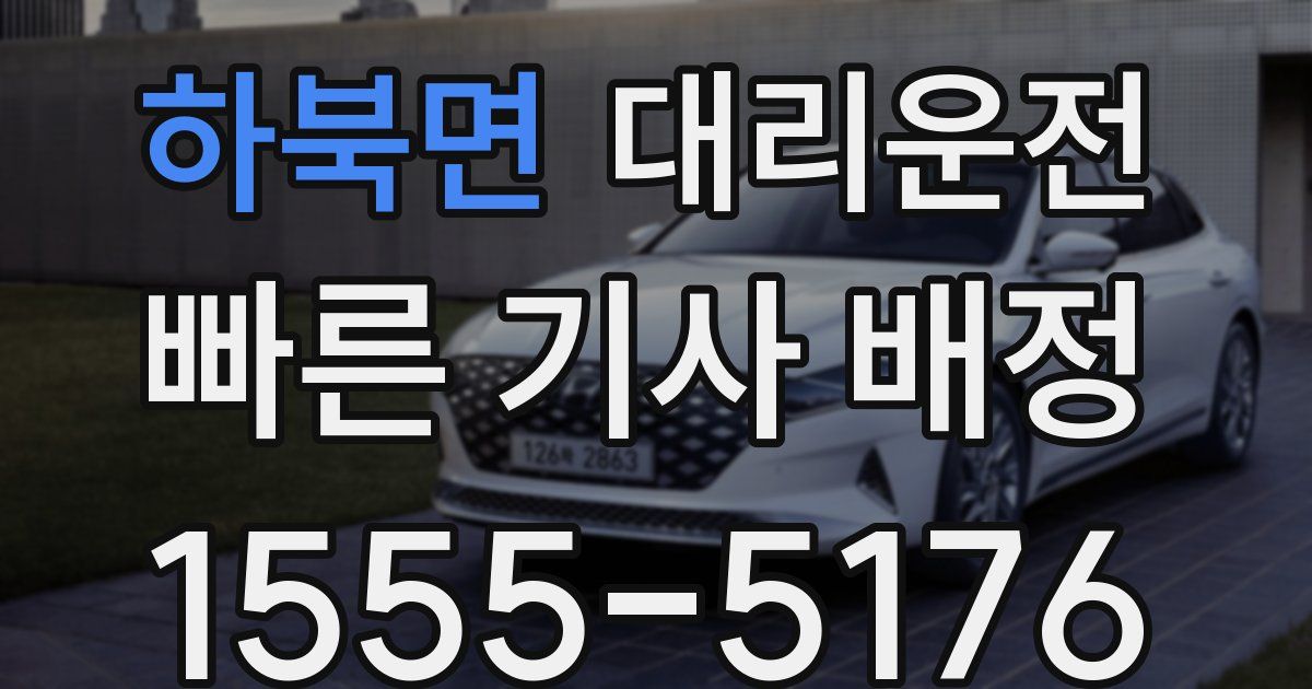 일일대리기사