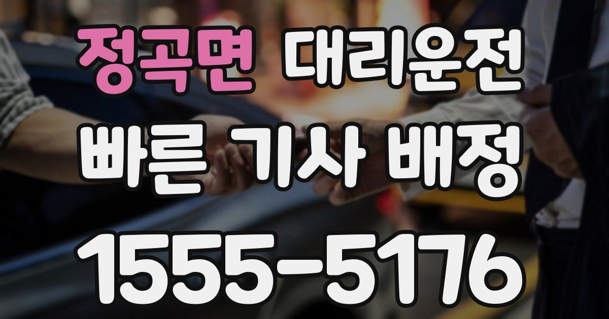 일일대리기사