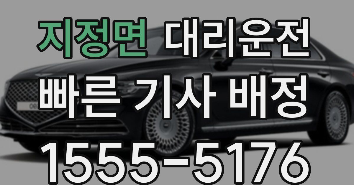 일일대리기사