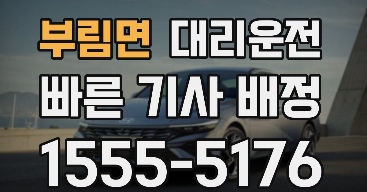 일일대리기사