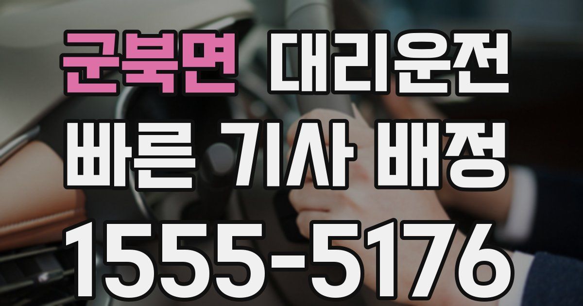 일일대리기사