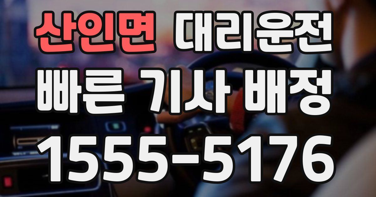 일일대리기사