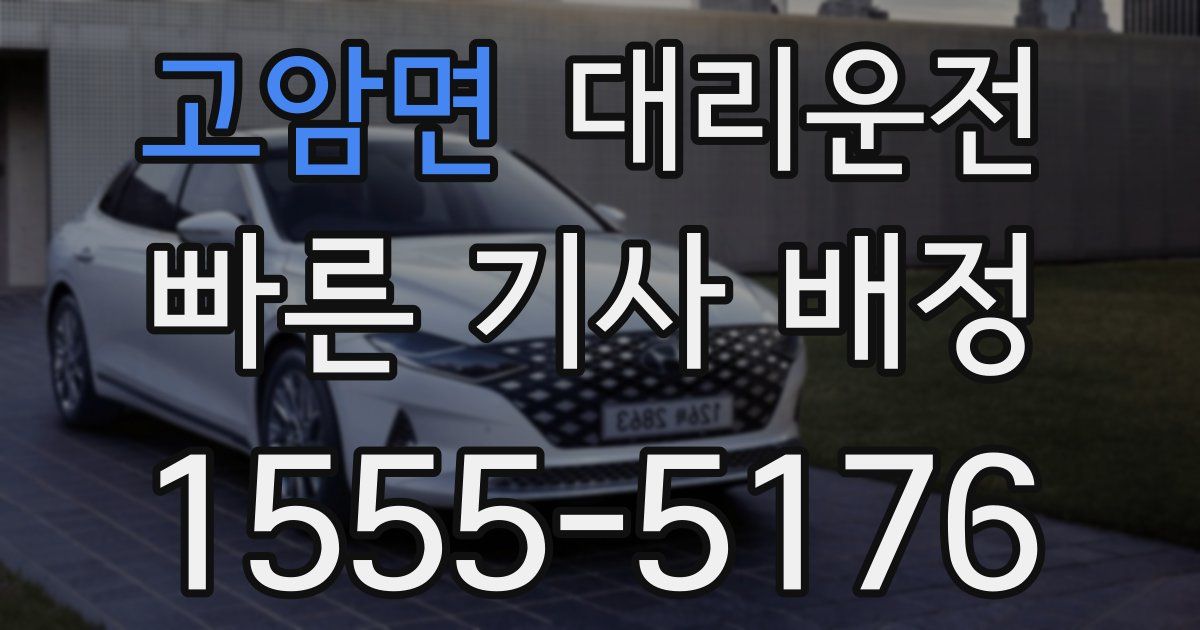 일일대리기사