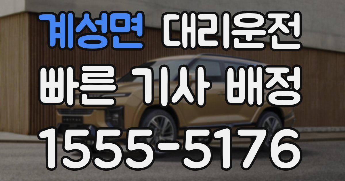 일일대리기사