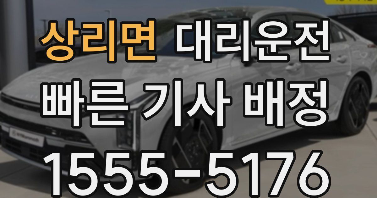 일일대리기사