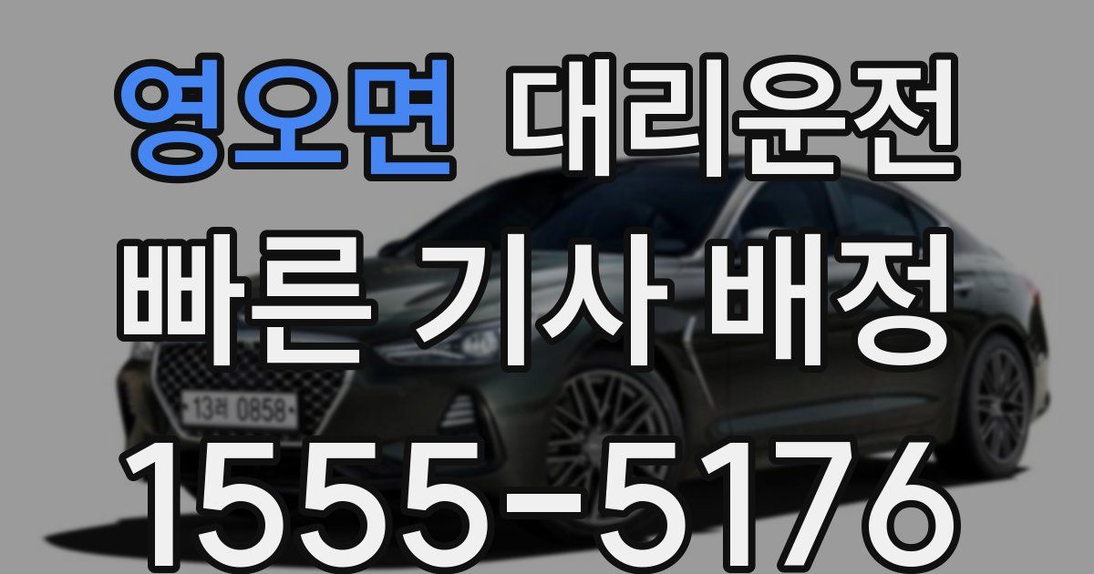 일일대리기사