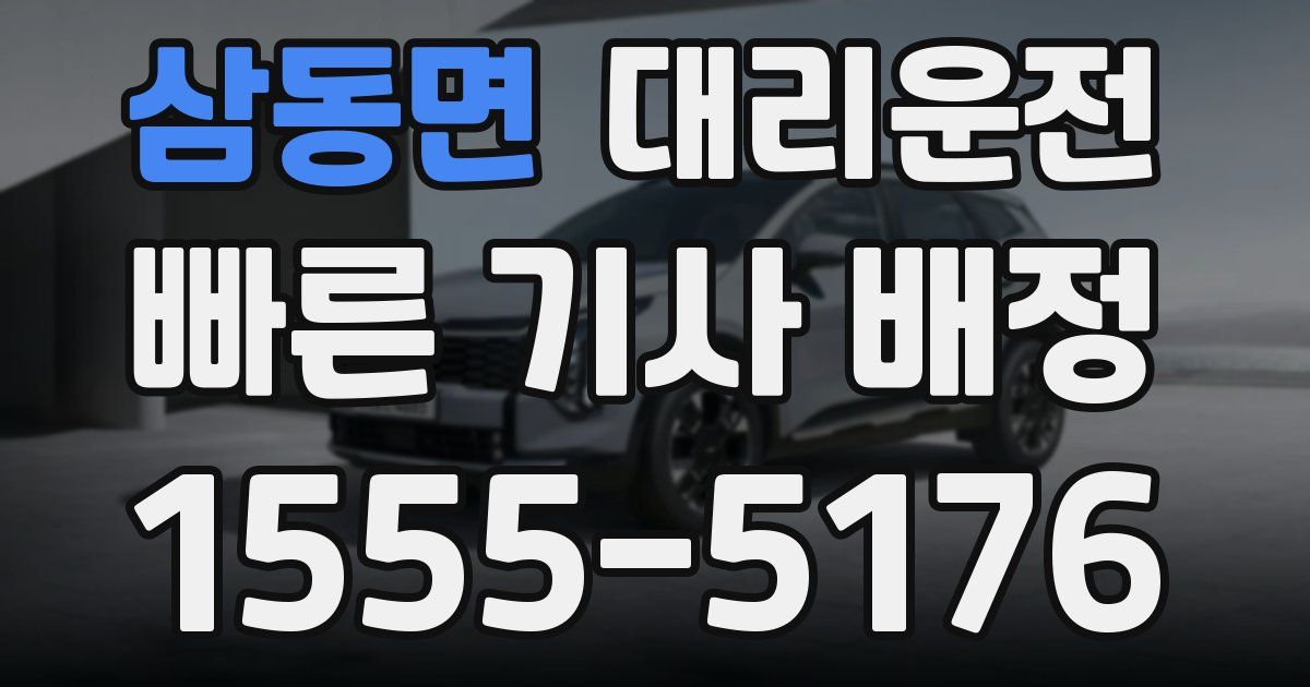 일일대리기사