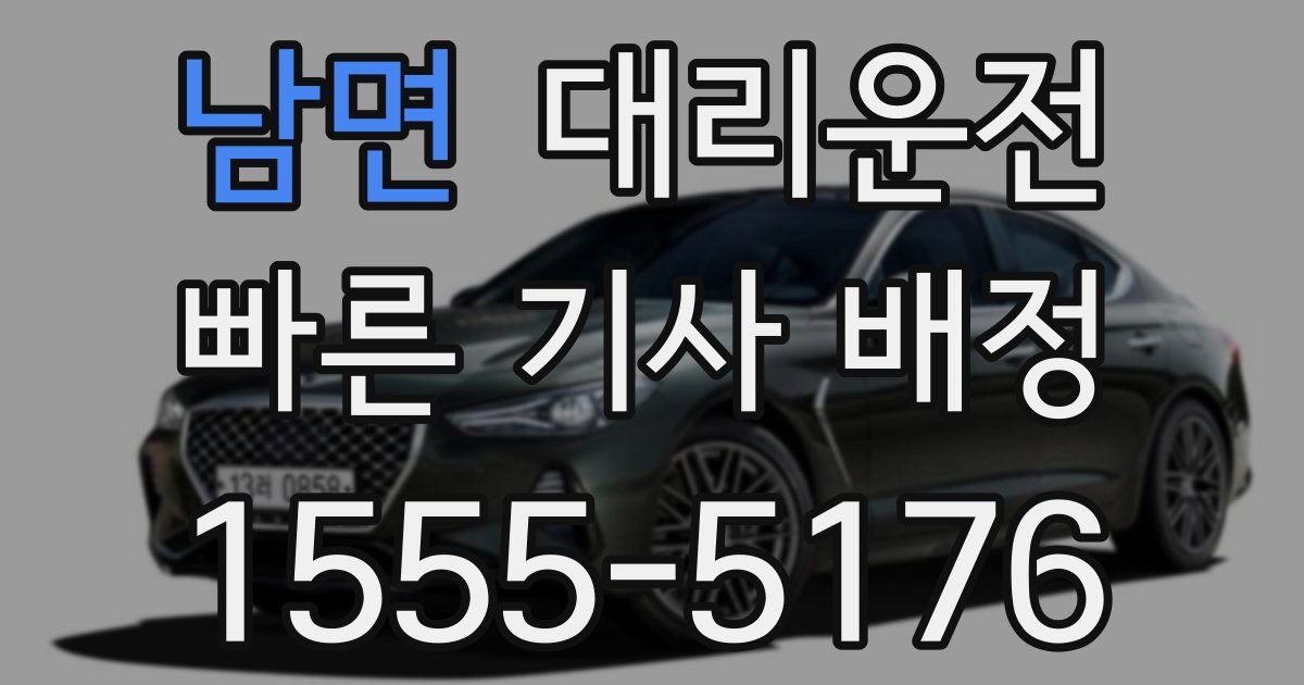 일일대리기사
