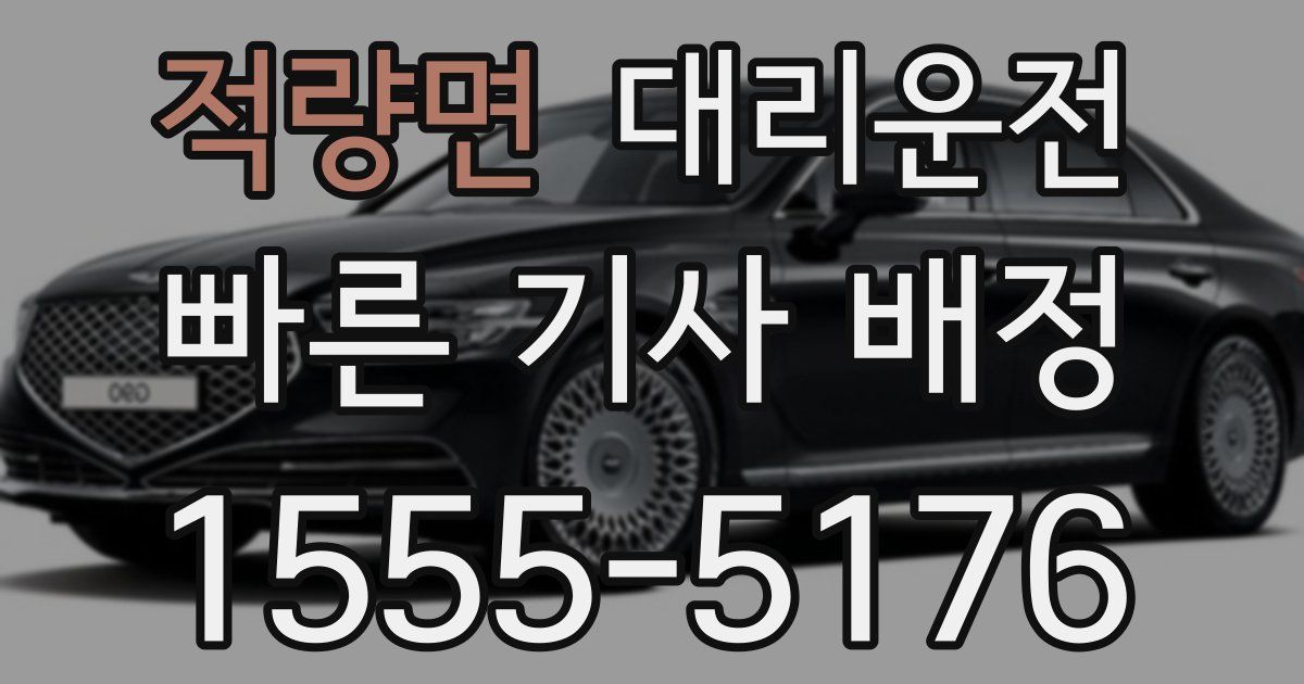 일일대리기사