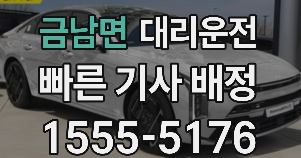 일일대리기사