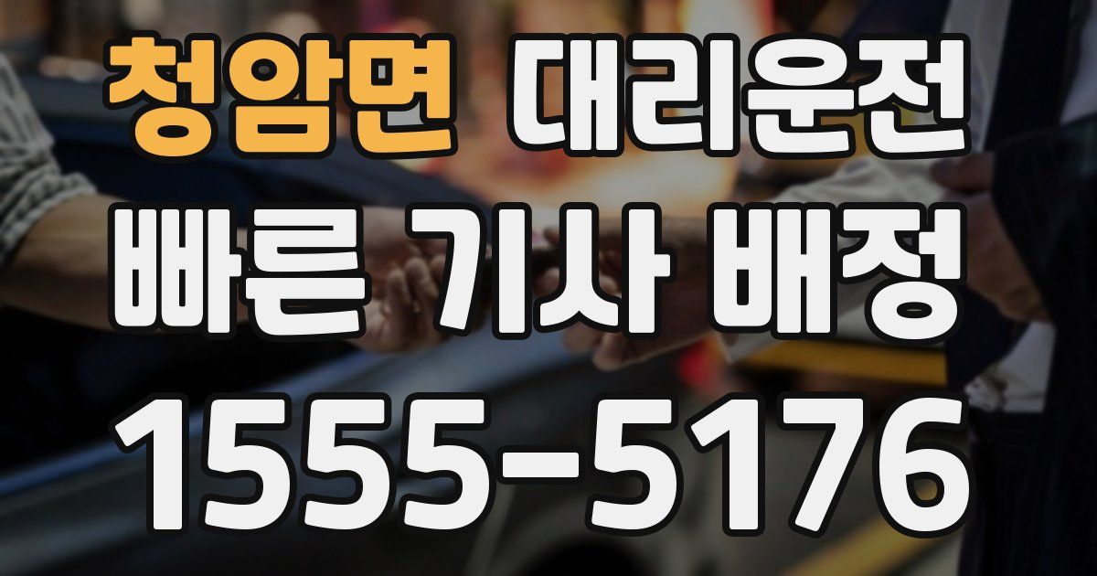 일일대리기사