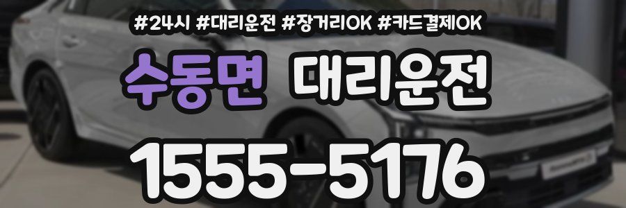 수동면 대리운전
