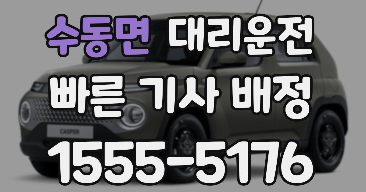 일일대리기사