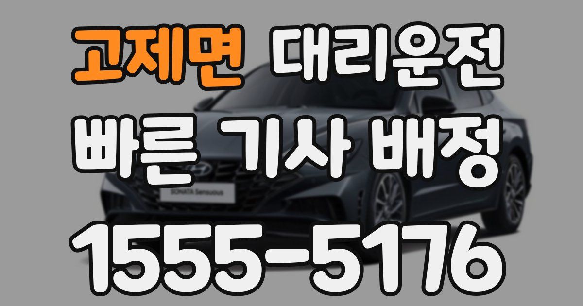 일일대리기사