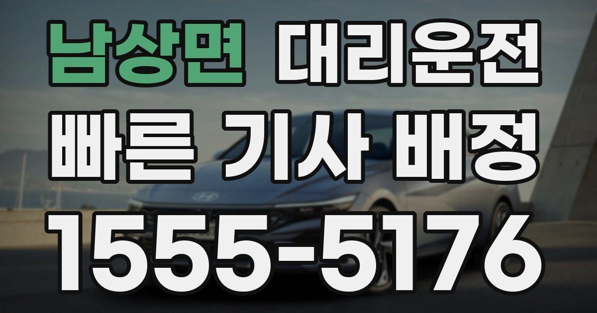 일일대리기사