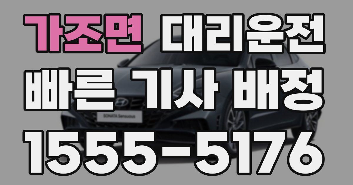 일일대리기사