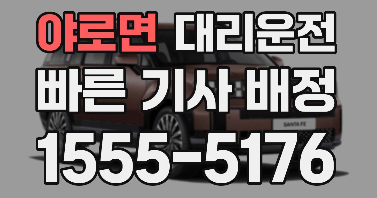일일대리기사