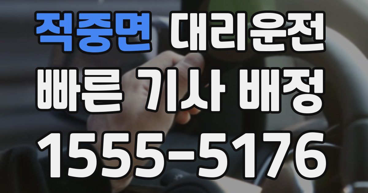 일일대리기사