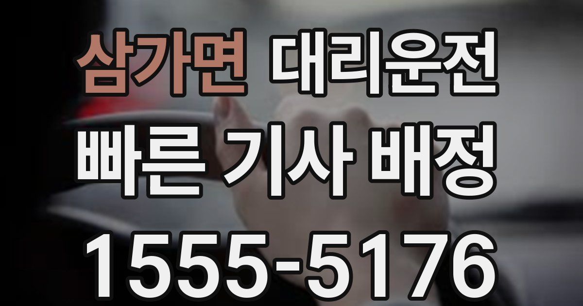 일일대리기사