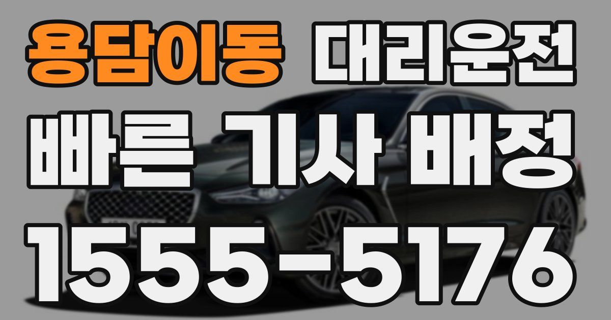 일일대리기사