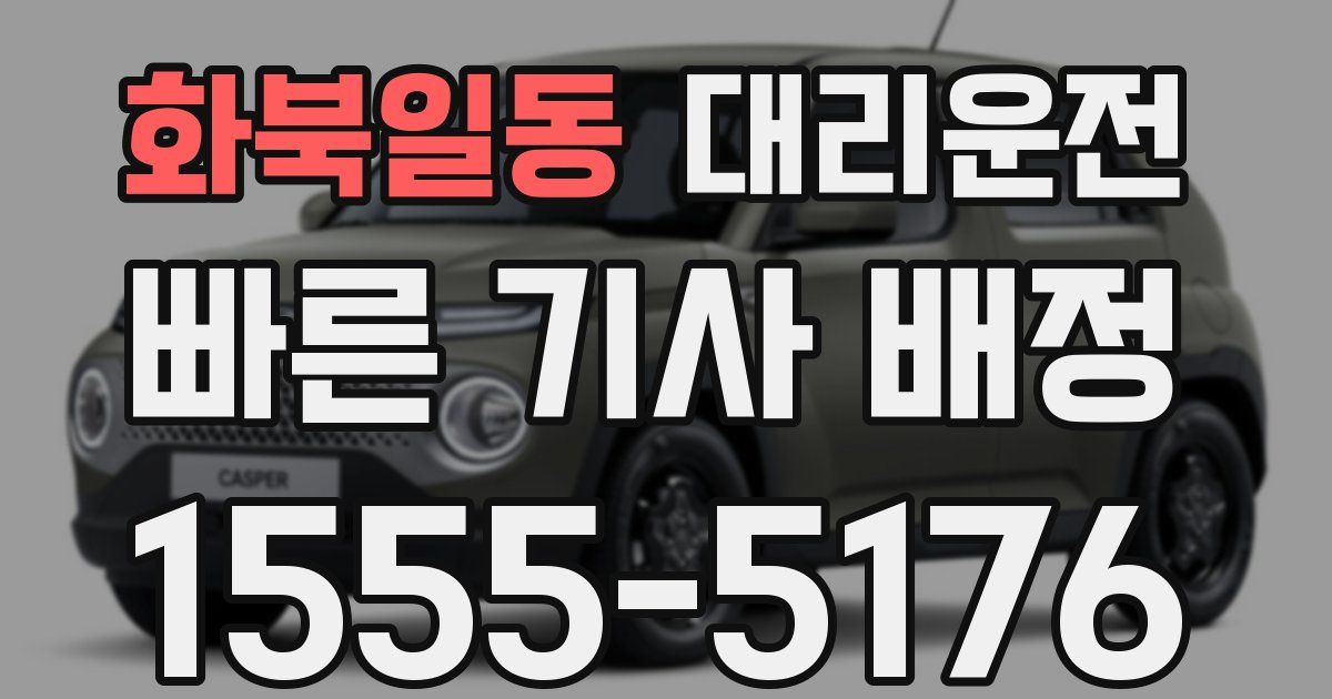 일일대리기사