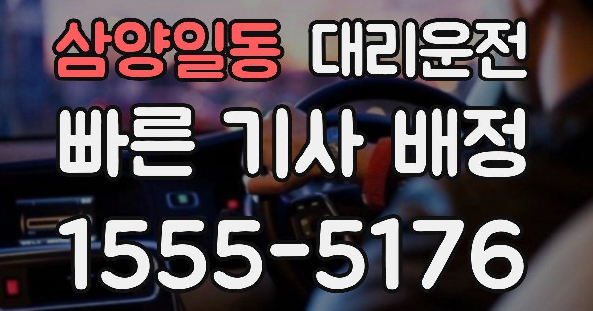 일일대리기사