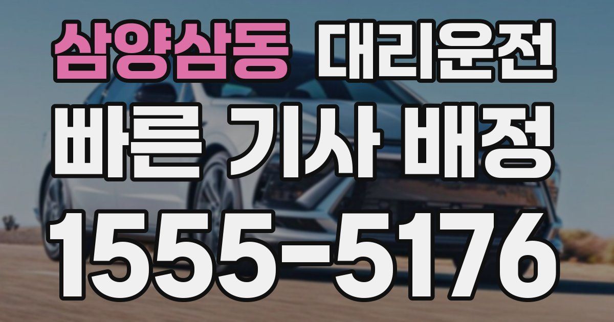 일일대리기사