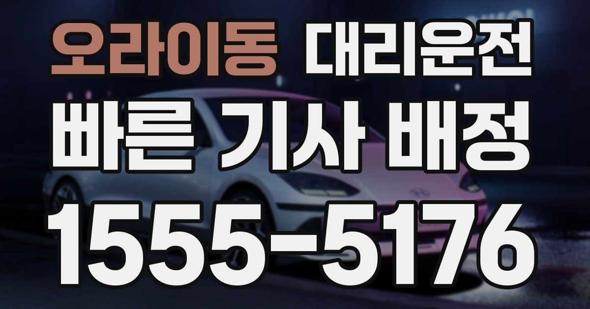 일일대리기사