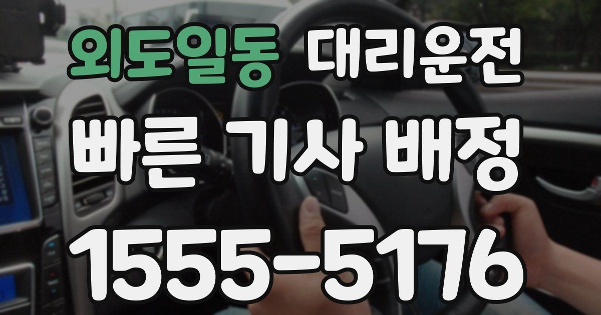 일일대리기사