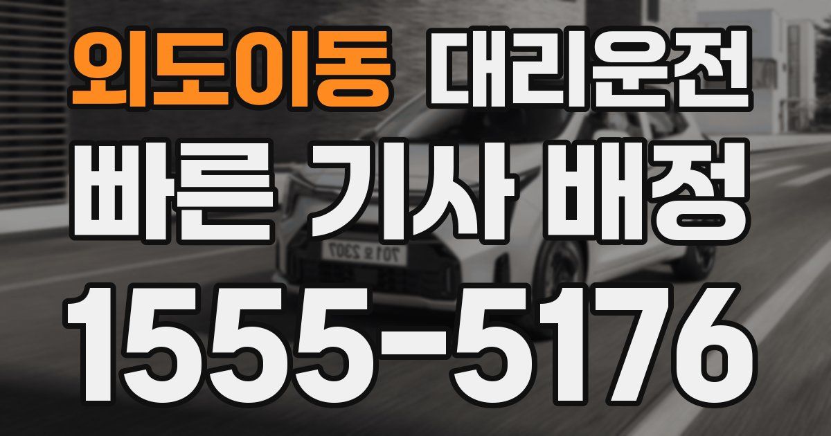 일일대리기사