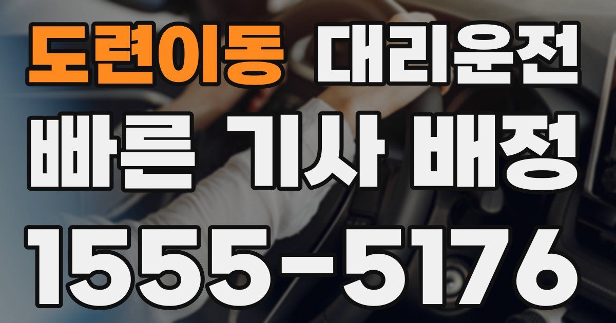 일일대리기사