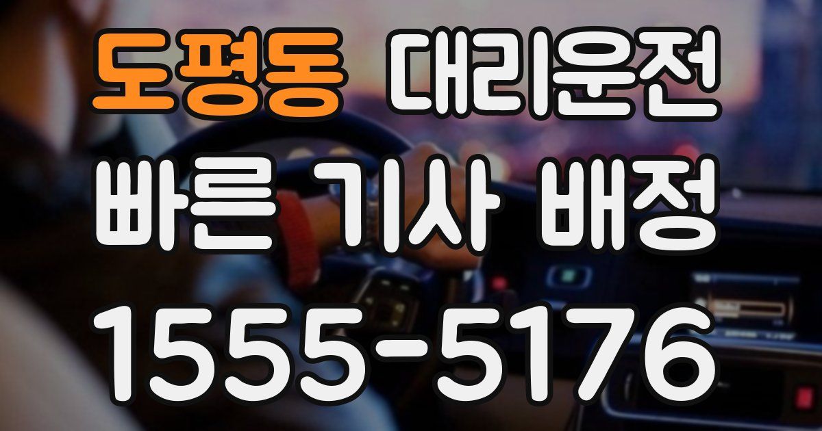 일일대리기사