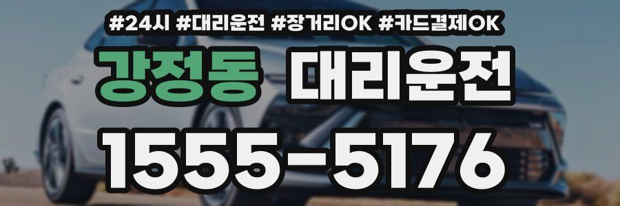 강정동 대리운전