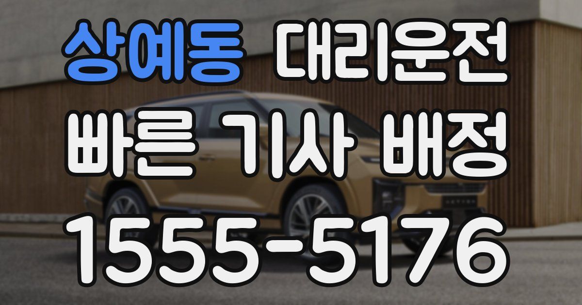 일일대리기사